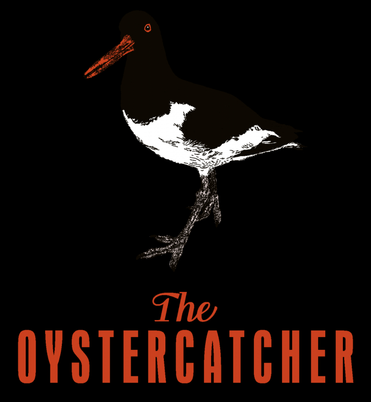 Gallery Item 2 for The Oystercatcher