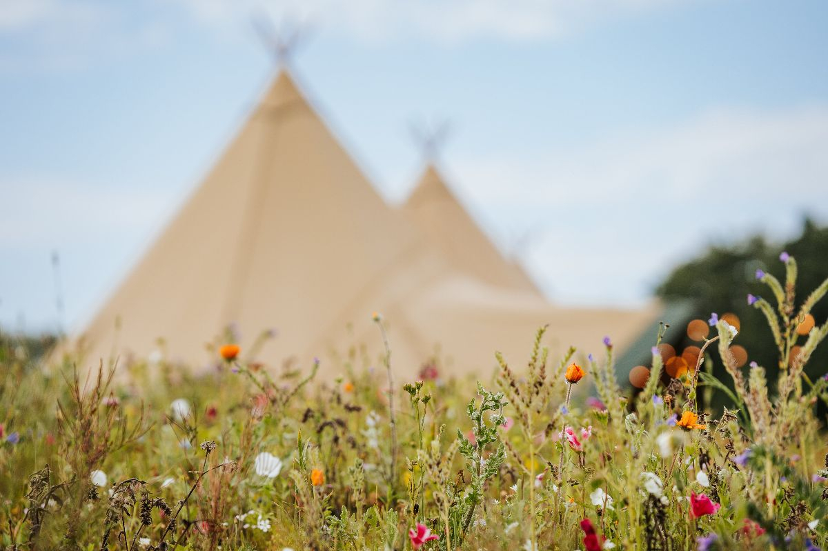 Gallery Item 5 for Stoke by Nayland Resort