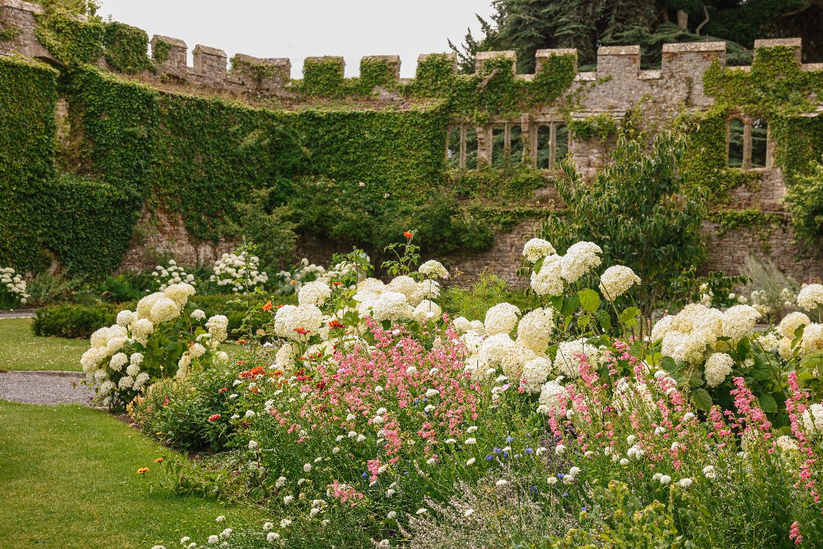 Gallery Item 7 for Thornbury Castle