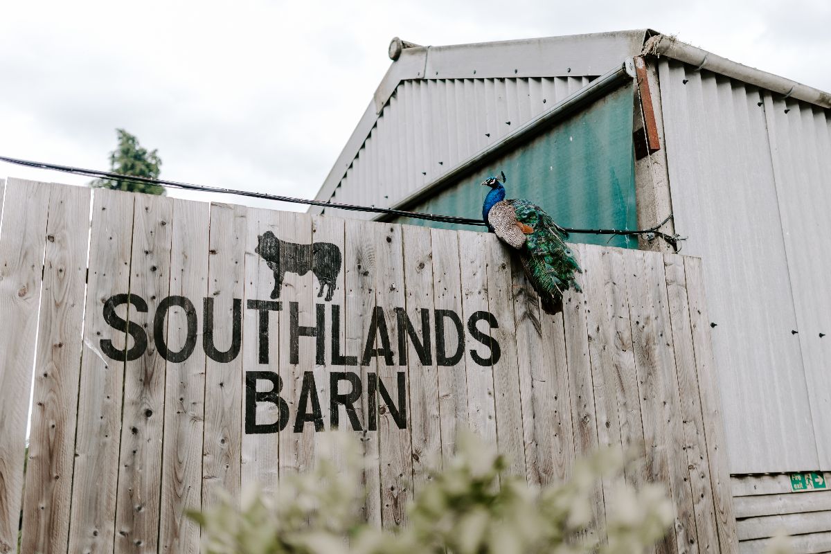 Gallery Item 5 for Southlands Barn