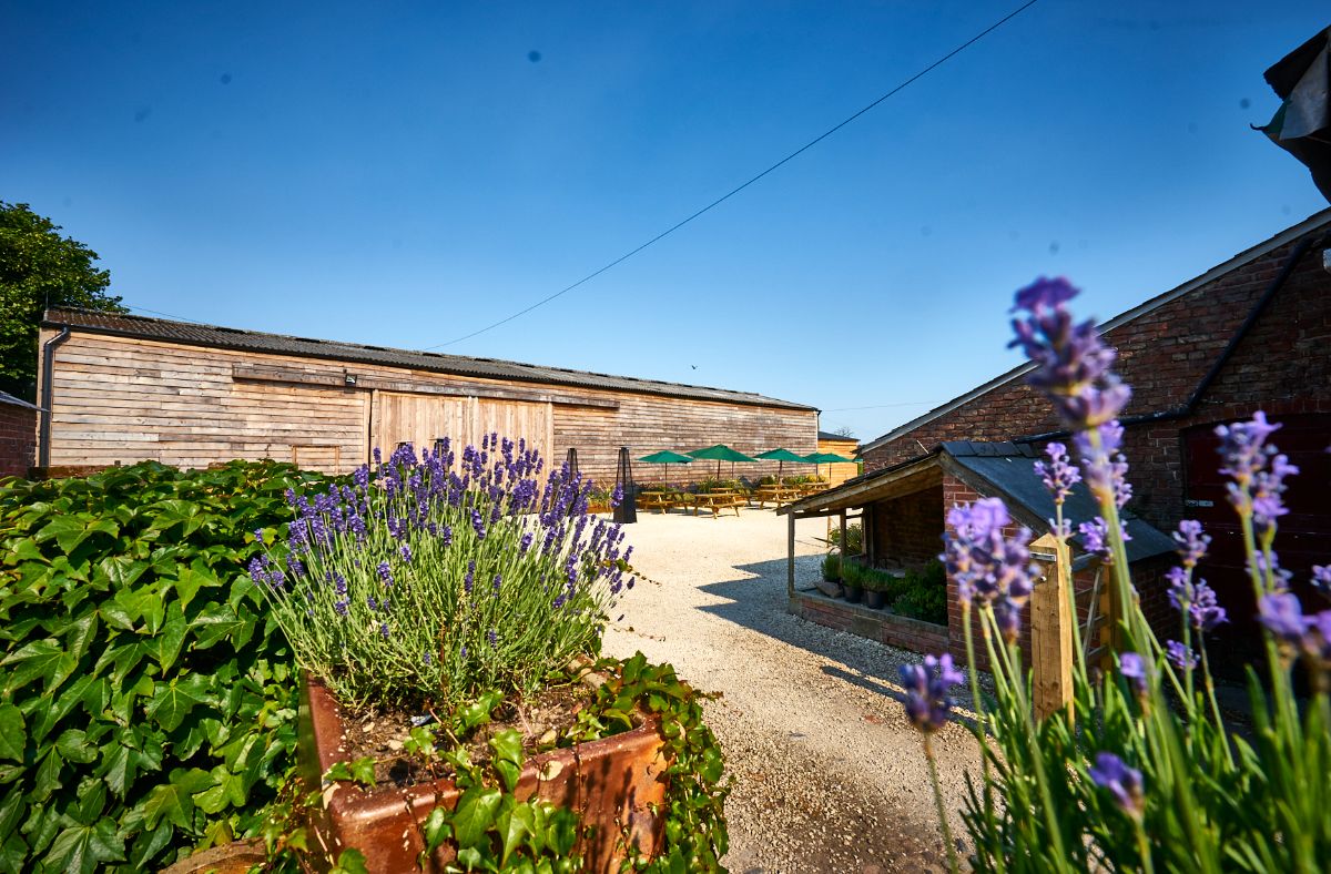 Gallery Item 7 for Stock Farm Wedding and Events Barn
