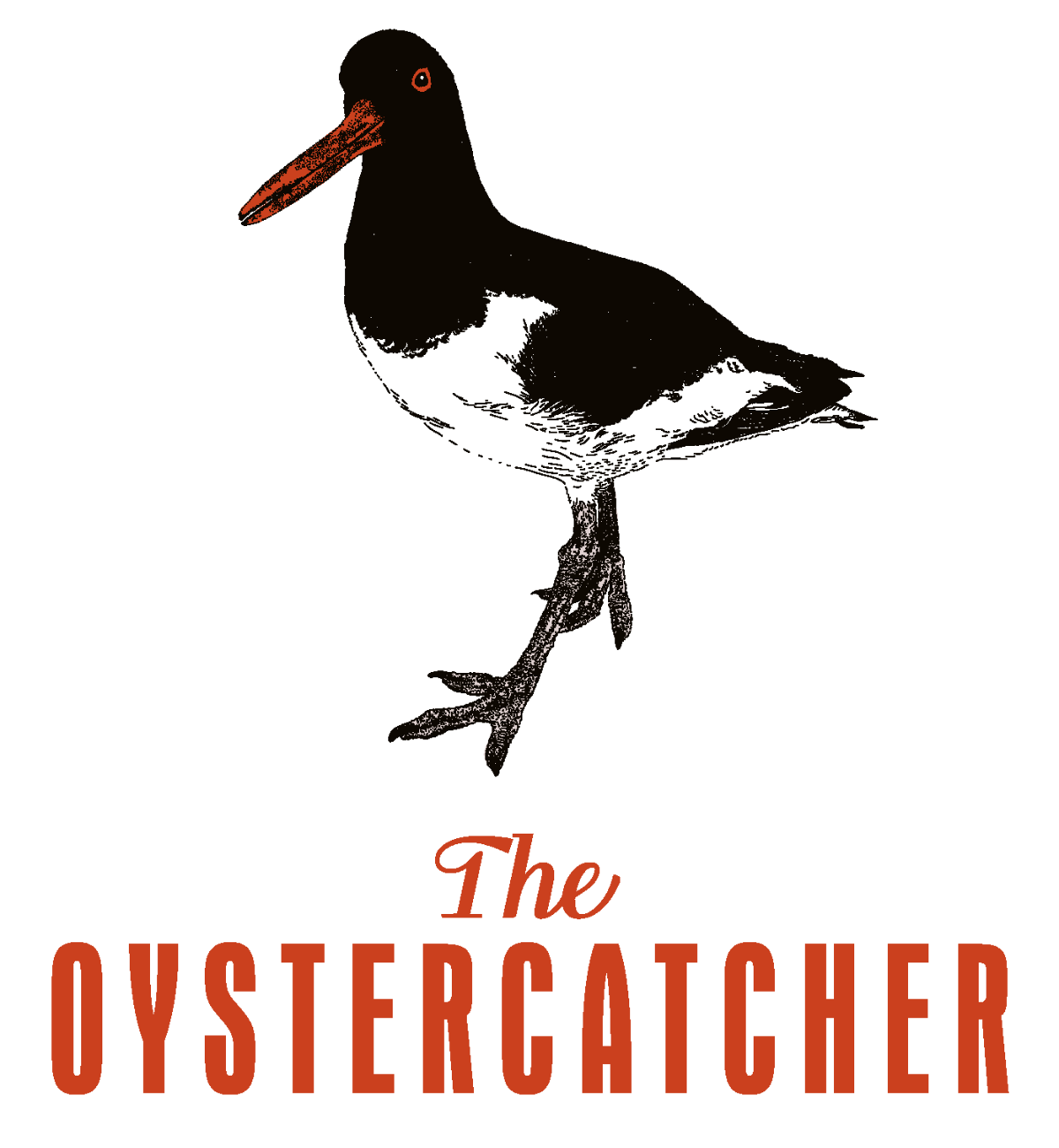 Gallery Item 2 for The Oystercatcher